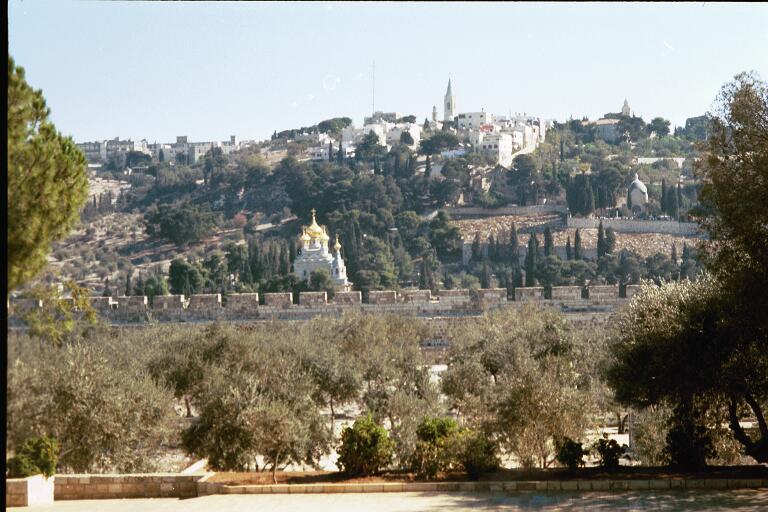 a (close-up) part of the Mount of Olives