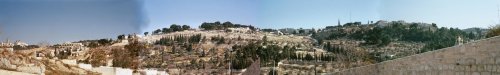 panorama shot of the Mount of Olives